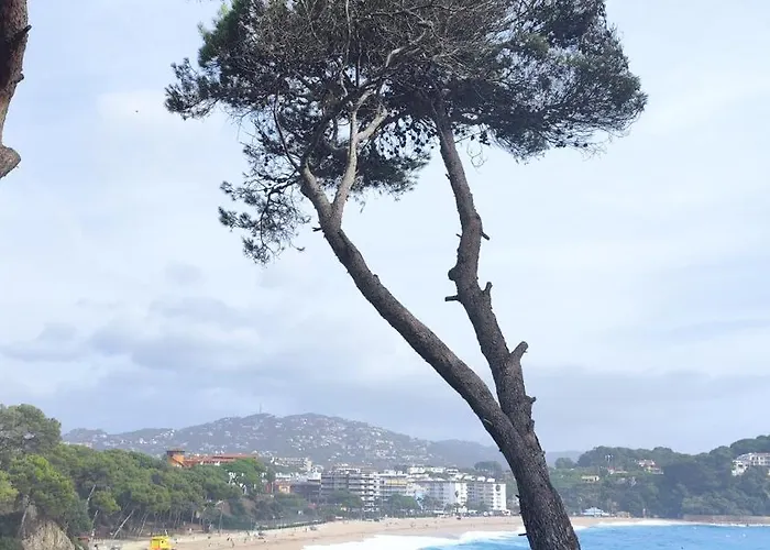 Lloret & Parking Daire Lloret de Mar