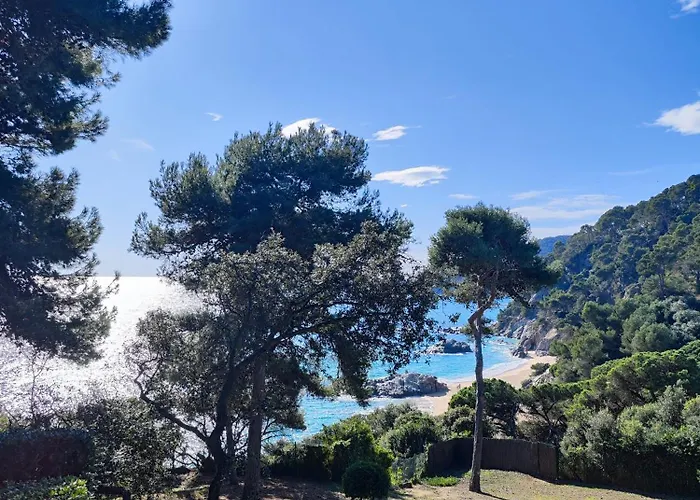公寓 Lloret & Parking 滨海略雷特